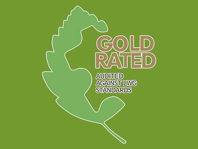 LWG审计范围的理念是什么？