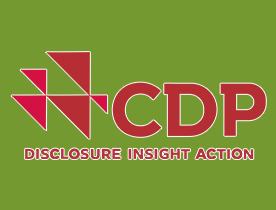 CDP碳信息披露项目加强低碳形象助力企业发展